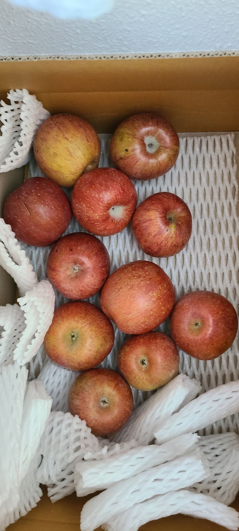 풀잎사랑님의 장터 구매 후기 썸네일