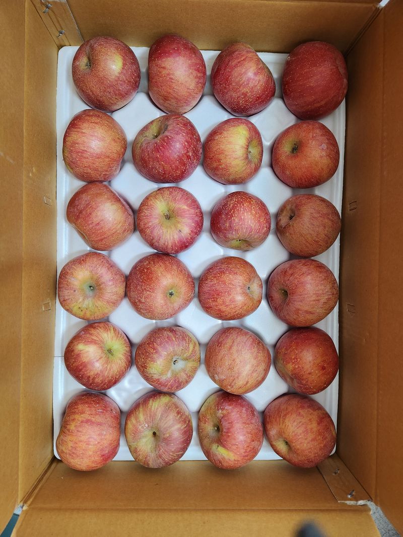 소나무1님의 장터 구매 후기 썸네일