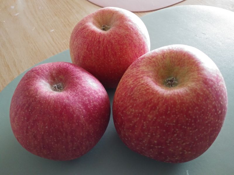 빛나게살아보자!님의 장터 구매 후기 썸네일