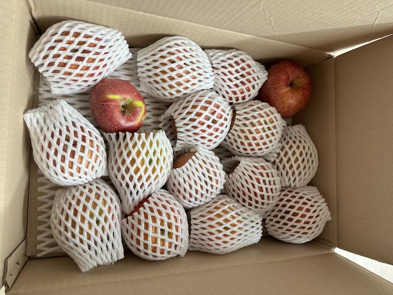 강호선님의 장터 구매 후기 썸네일