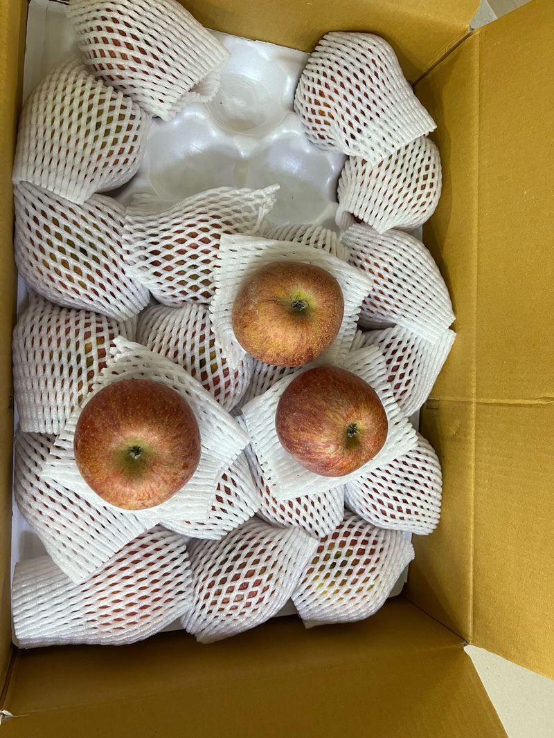 오키~~님의 장터 구매 후기 썸네일