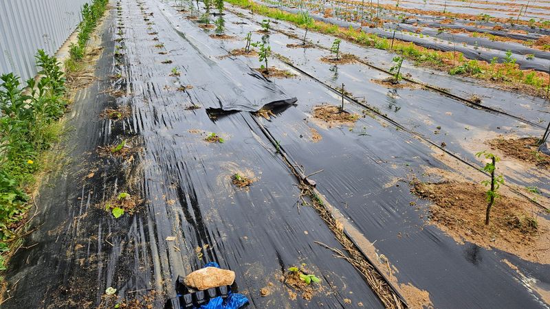 종합선물세트님의 장터 구매 후기 썸네일