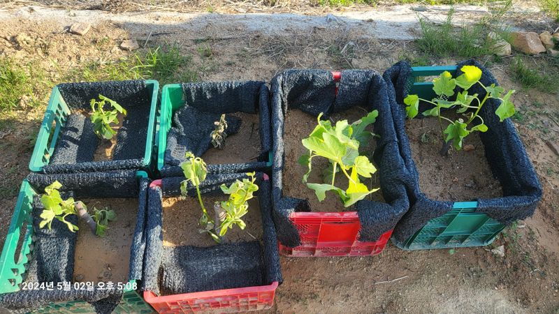 이종선님의 장터 구매 후기 썸네일