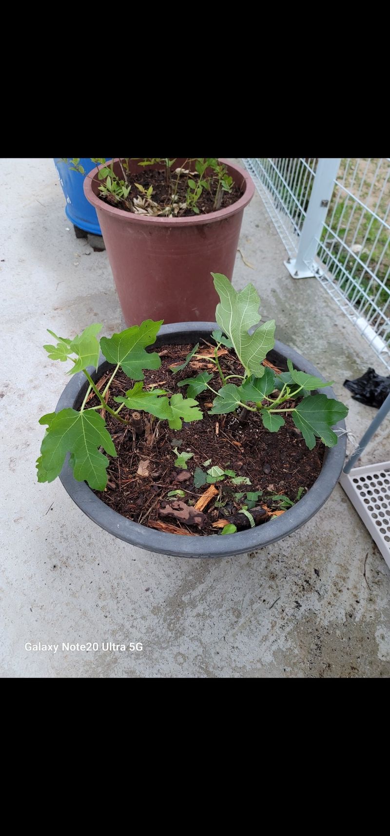 김용민님의 장터 구매 후기 썸네일