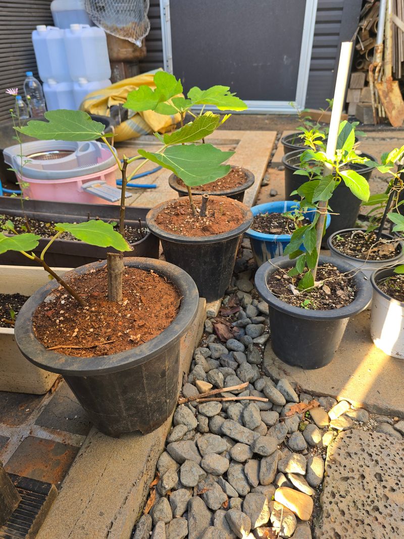 김재경님의 장터 구매 후기 썸네일