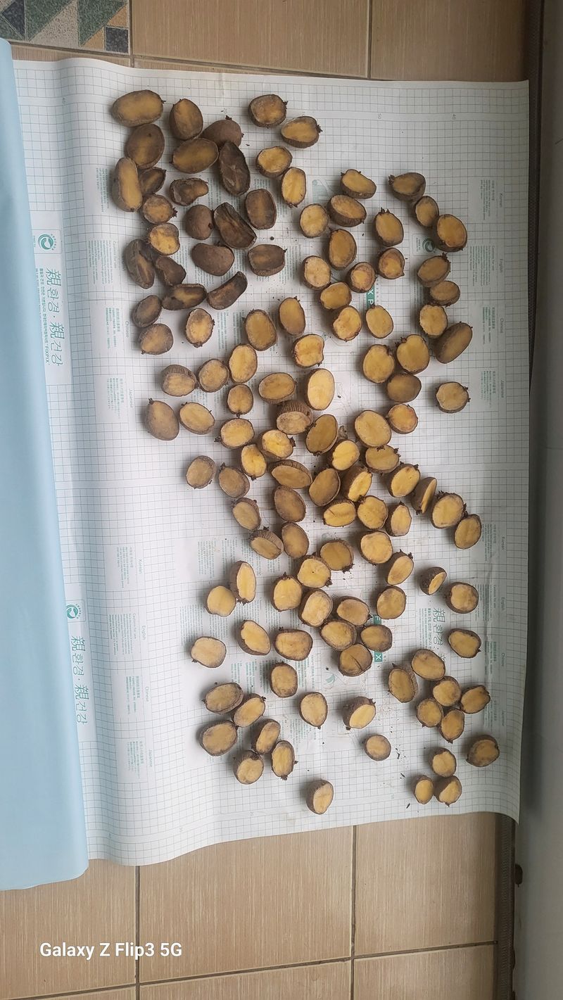 성진골님의 장터 구매 후기 썸네일