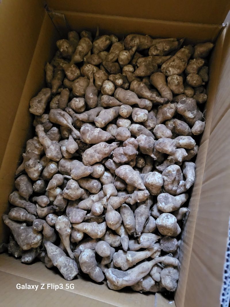 보리맘님의 장터 구매 후기 썸네일