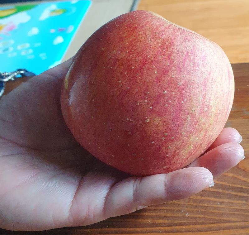 조정민님의 장터 구매 후기 썸네일