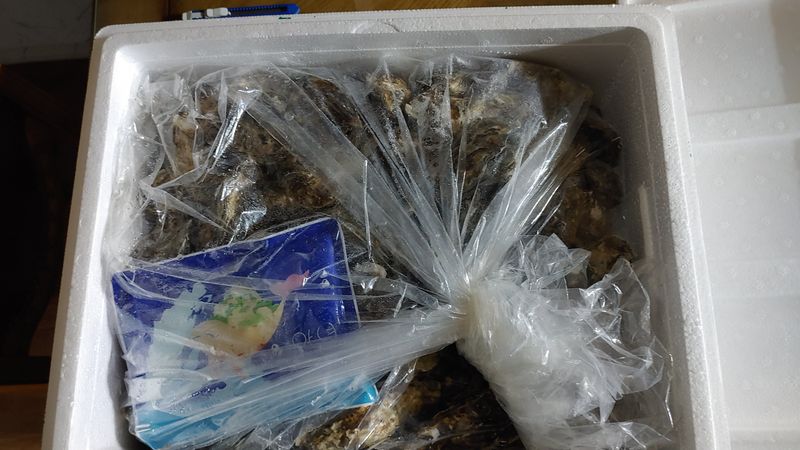 달맛햇복숭아농원님의 장터 구매 후기 썸네일