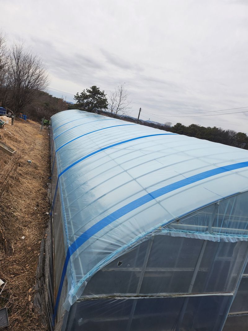 박서준님의 장터 구매 후기 썸네일