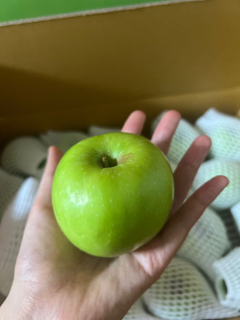 정현재님의 장터 구매 후기 썸네일