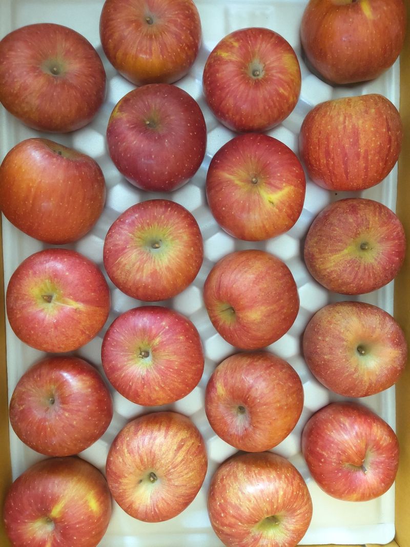 귤31780님의 장터 구매 후기 썸네일