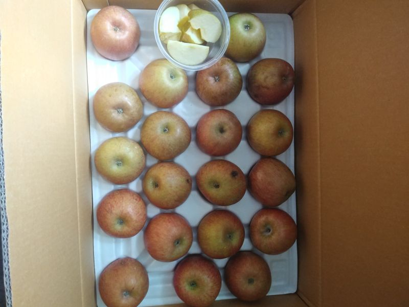 호박4616님의 장터 구매 후기 썸네일