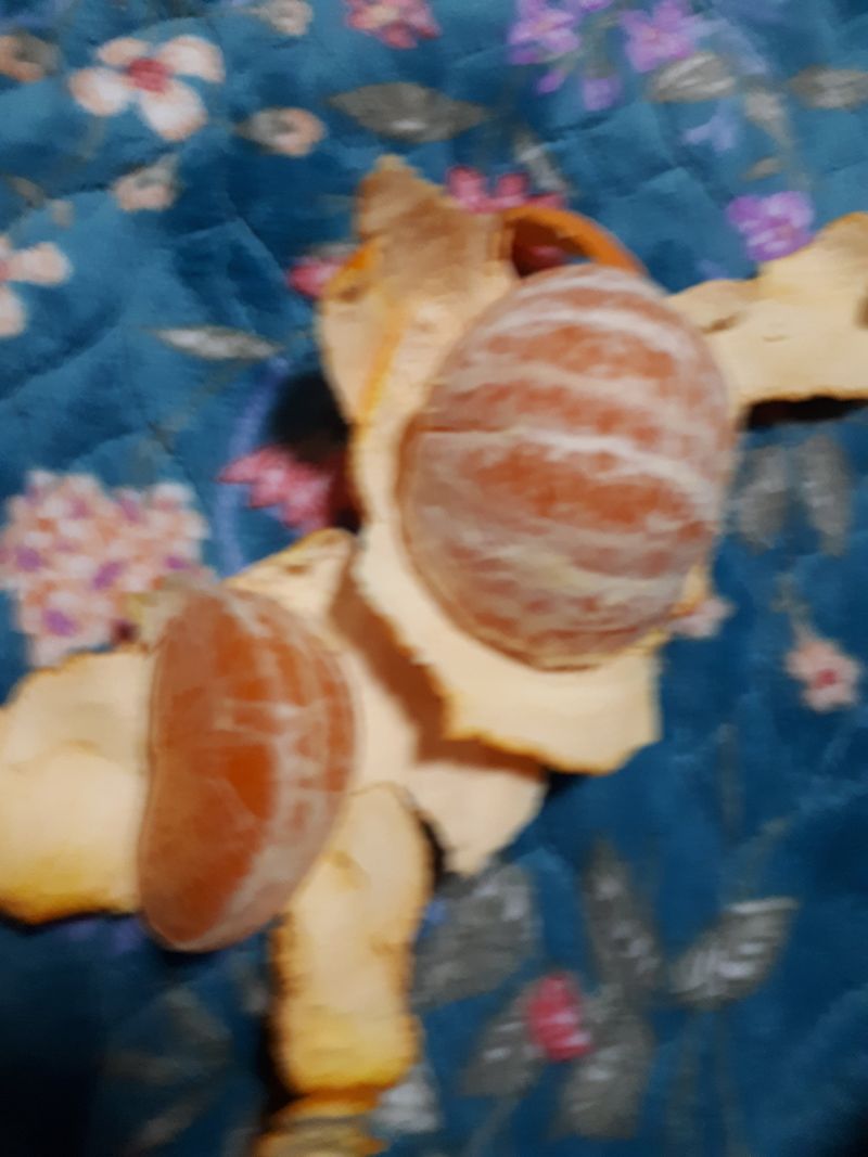 아영사랑님의 장터 구매 후기 썸네일