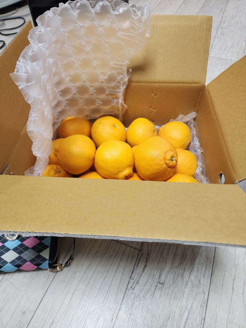 고구마7553님의 장터 구매 후기 썸네일