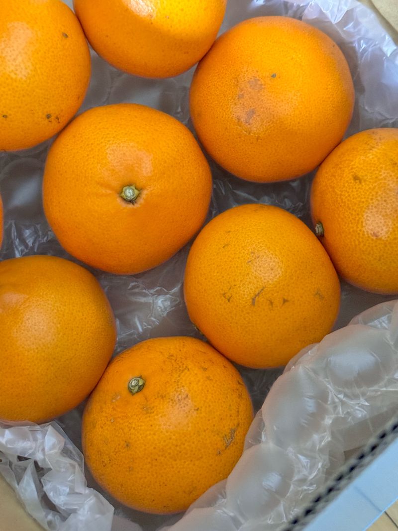 이금순님의 장터 구매 후기 썸네일