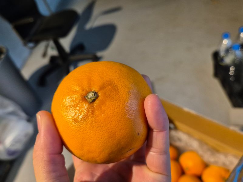 안성화님의 장터 구매 후기 썸네일