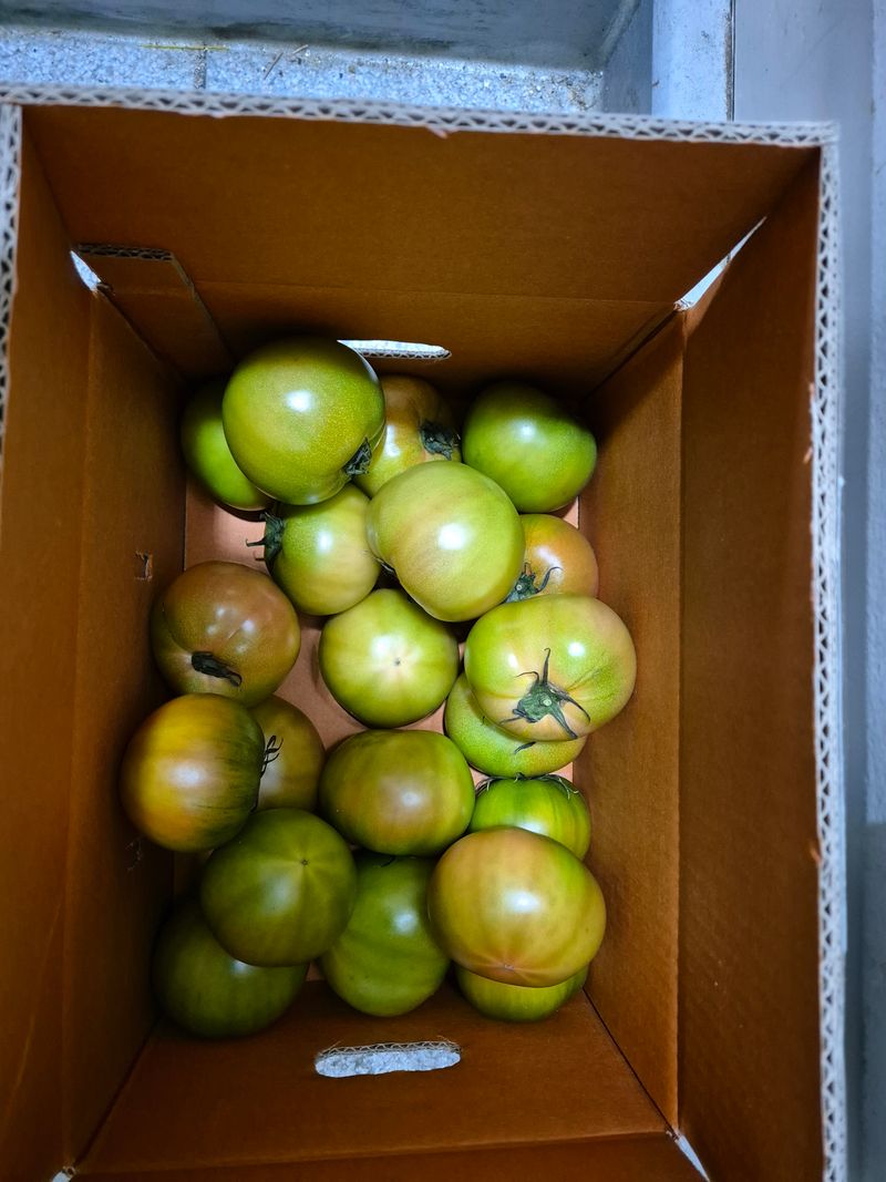 김상례님의 장터 구매 후기 썸네일