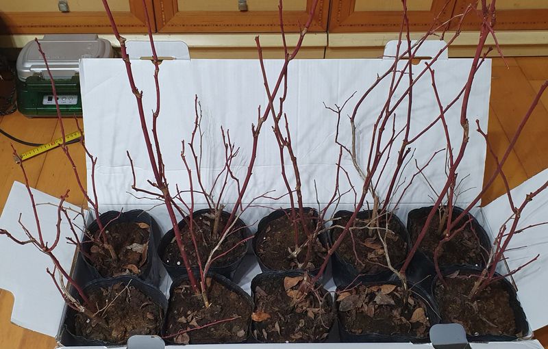 함영숙 님의 장터 구매 후기 썸네일