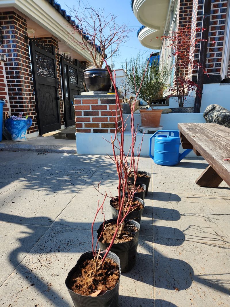 들깨17498님의 장터 구매 후기 썸네일