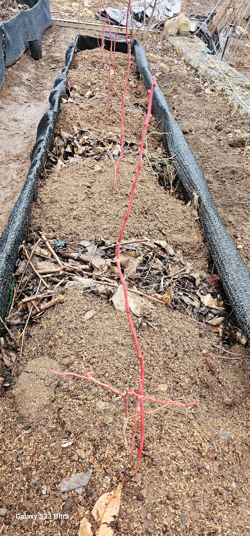 우경 김종철님의 장터 구매 후기 썸네일