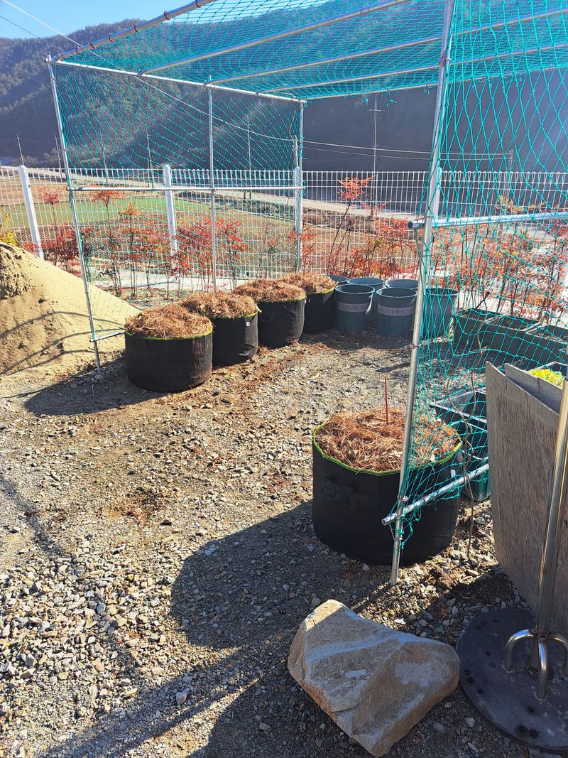 귀산촌님의 장터 구매 후기 썸네일