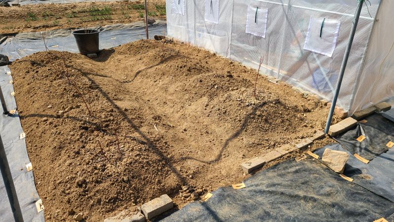 박상환님의 장터 구매 후기 썸네일