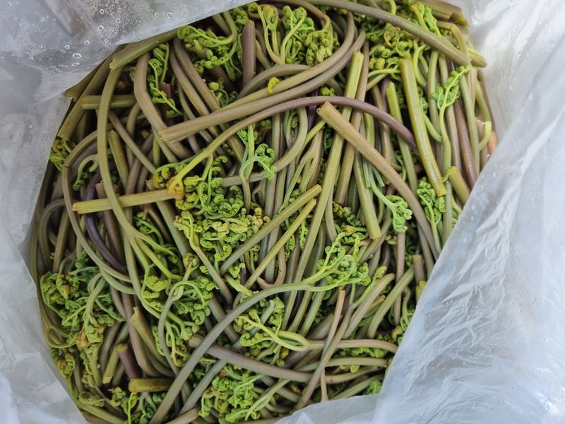 이경희님의 장터 구매 후기 썸네일