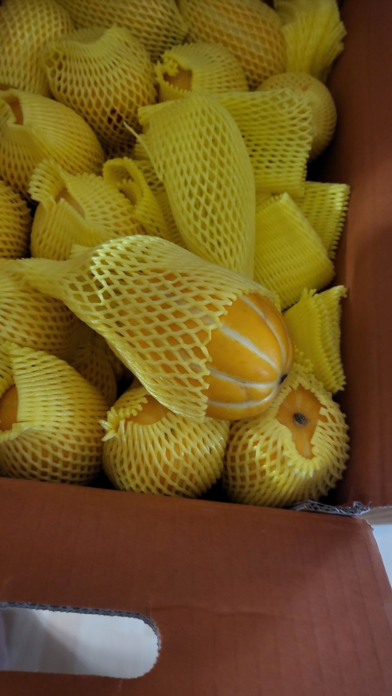 ♡5도2촌pys♡님의 장터 구매 후기 썸네일