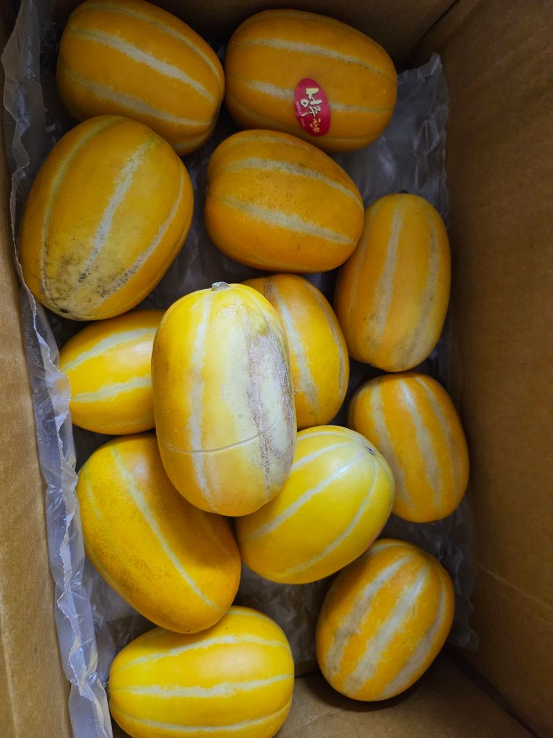 보영님의 장터 구매 후기 썸네일