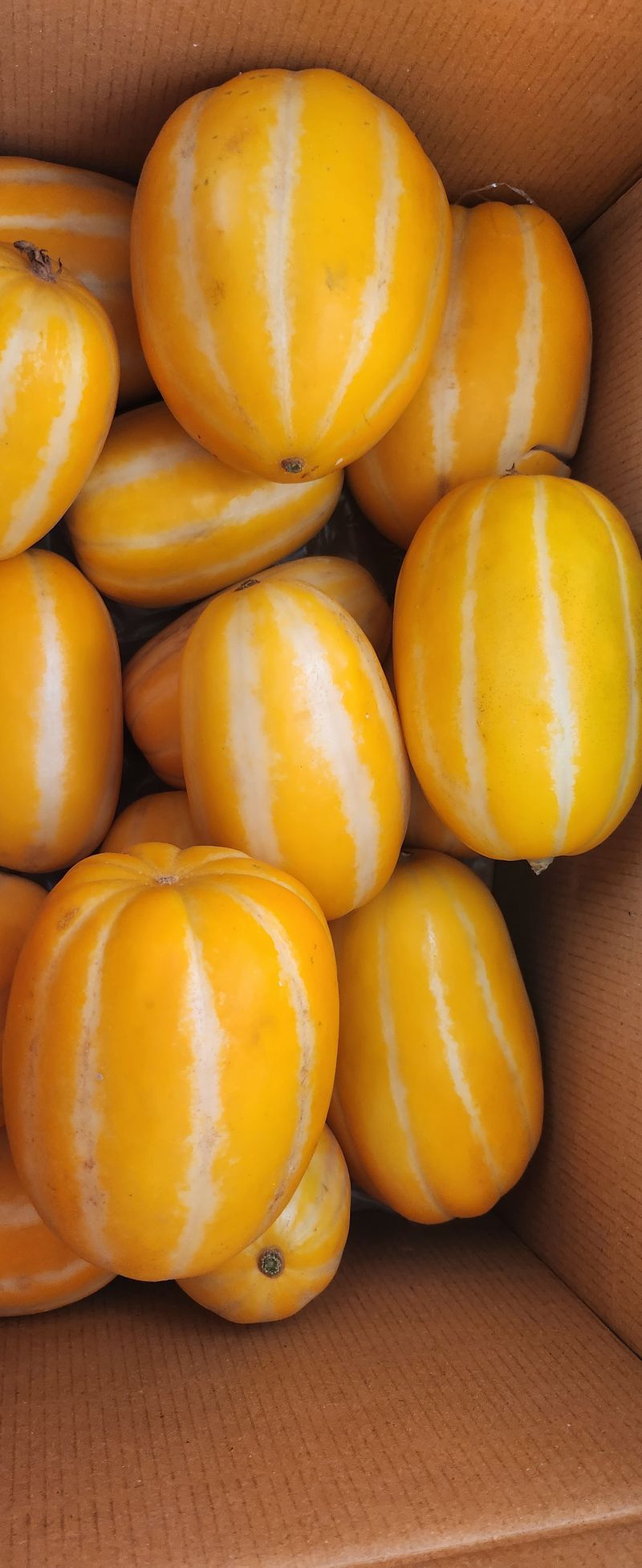 윤정숙님의 장터 구매 후기 썸네일