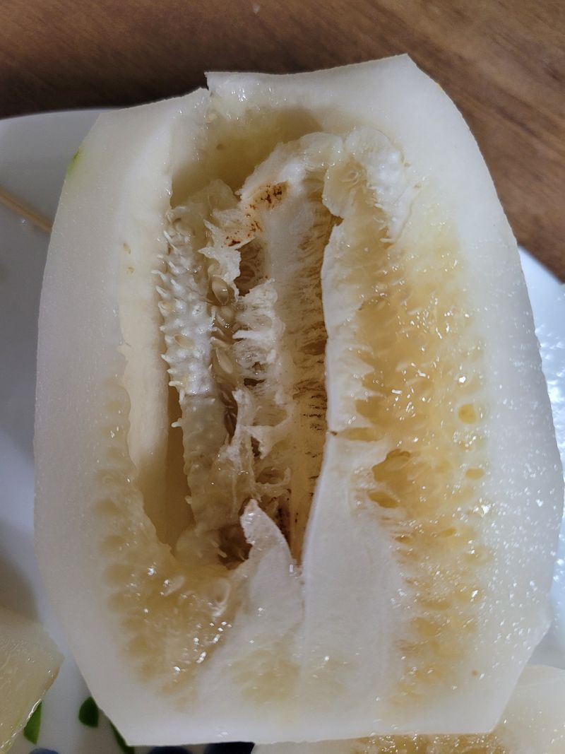 송산인님의 장터 구매 후기 썸네일