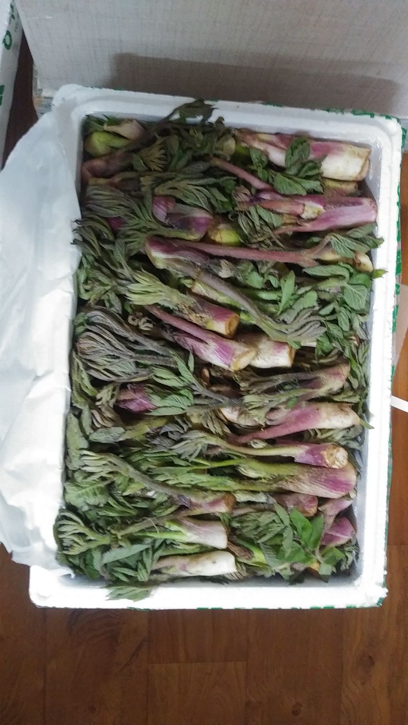 이덕준님의 장터 구매 후기 썸네일