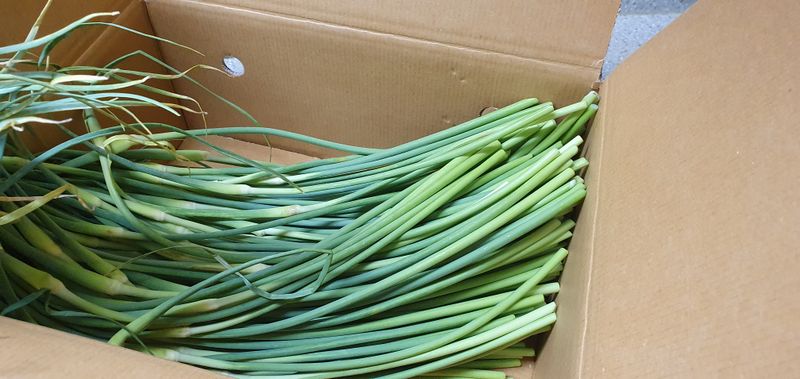 울산  임순옥님의 장터 구매 후기 썸네일