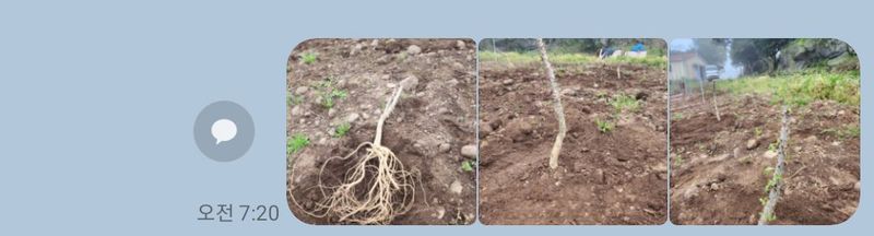 바당농부님의 장터 구매 후기 썸네일