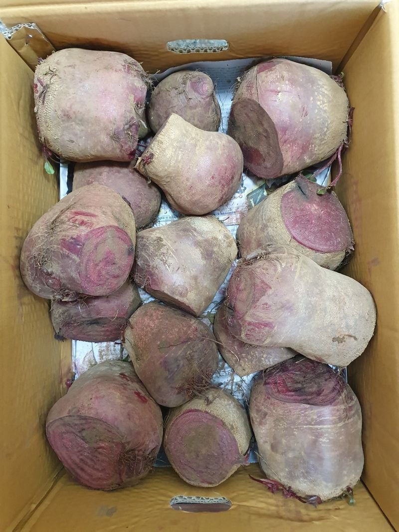 박지연님의 장터 구매 후기 썸네일