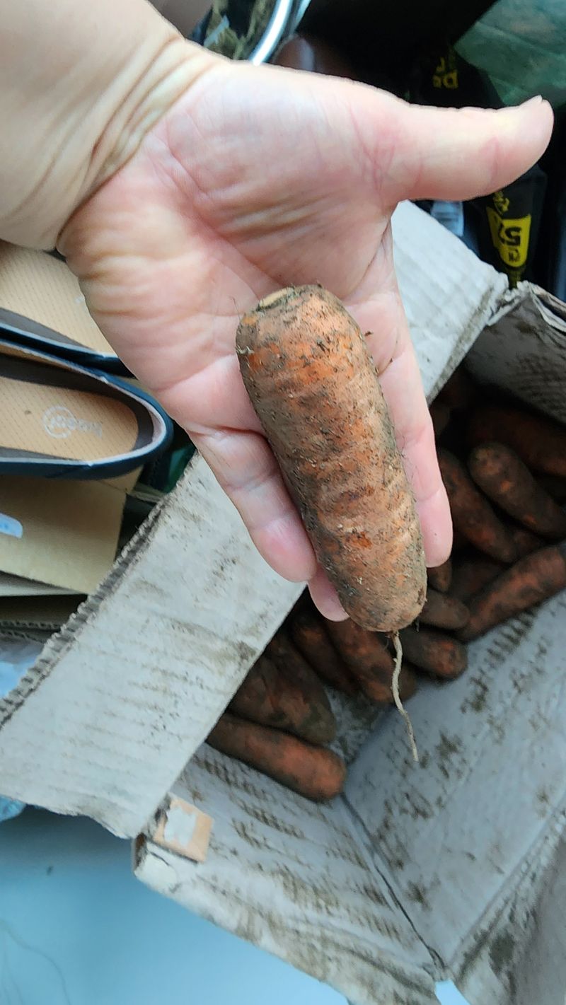 조숙자님의 장터 구매 후기 썸네일