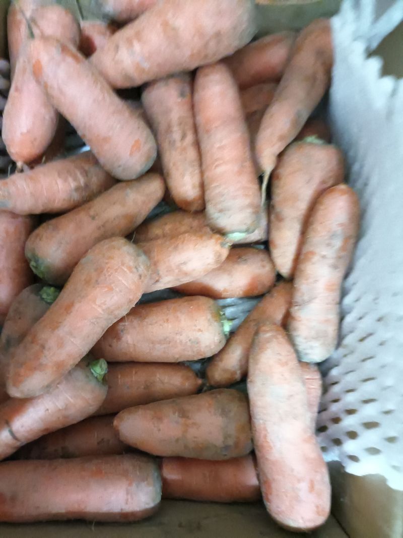 김수자양파19288님의 장터 구매 후기 썸네일