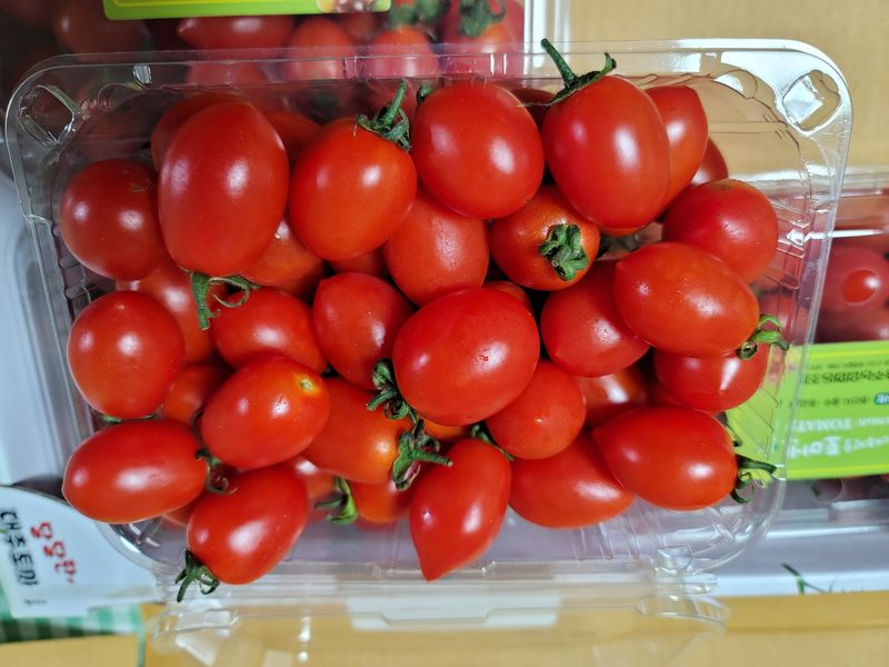 빛그린 김용화님의 장터 구매 후기 썸네일