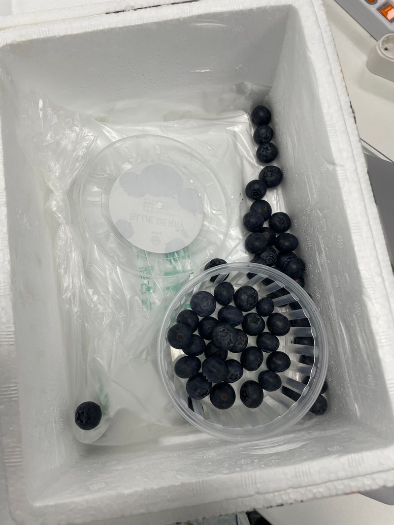 금숙님의 장터 구매 후기 썸네일