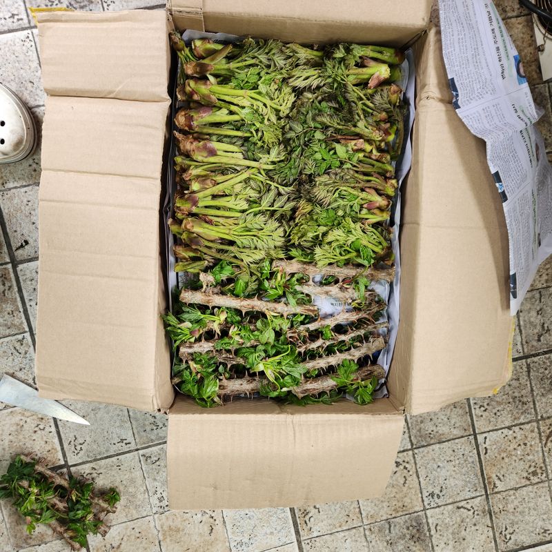 농사는힘님의 장터 구매 후기 썸네일