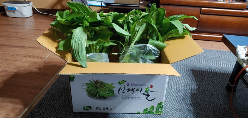 달맛햇복숭아농원님의 장터 구매 후기 썸네일