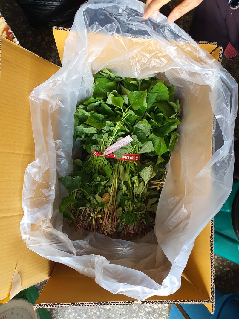 주*희님의 장터 구매 후기 썸네일