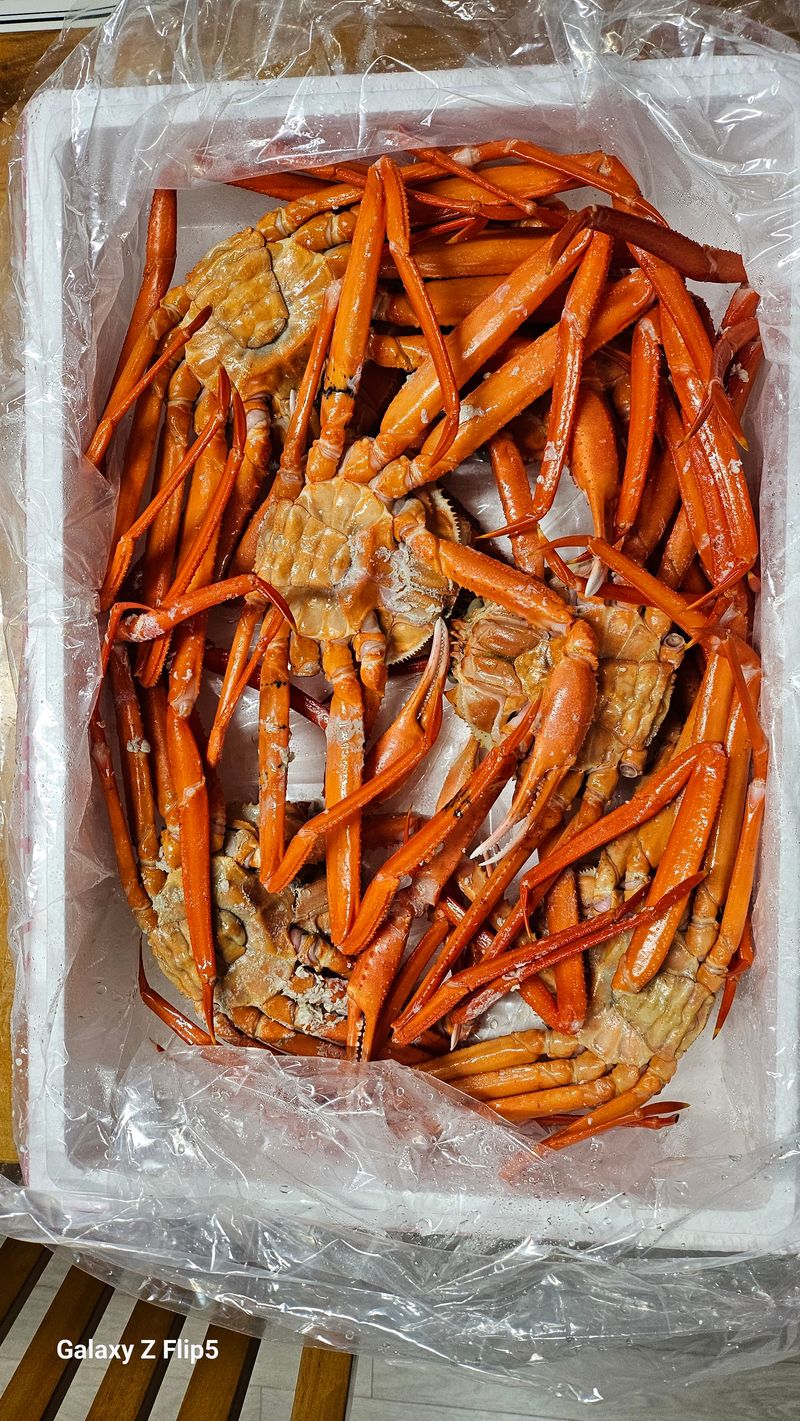 시아님의 장터 구매 후기 썸네일