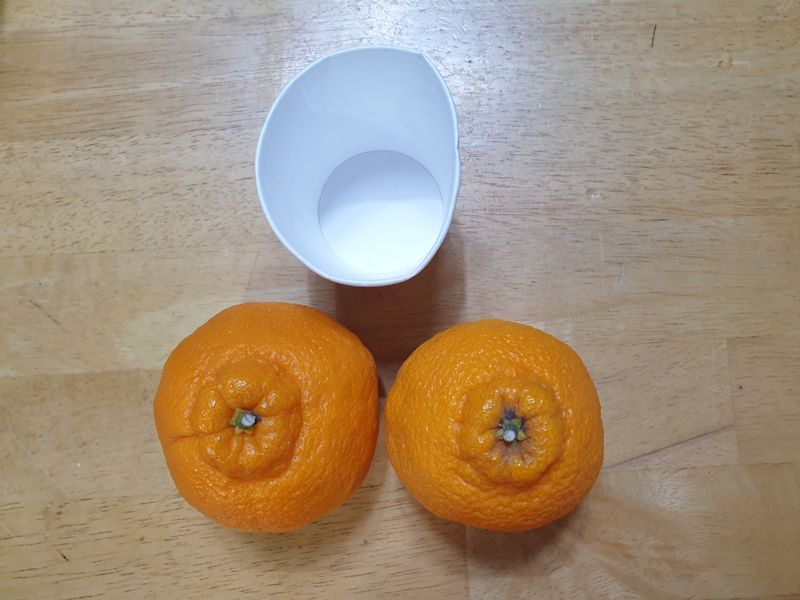 동구밖과수원길님의 장터 구매 후기 썸네일