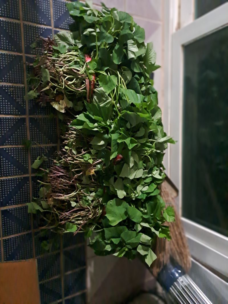 곽해영님의 장터 구매 후기 썸네일