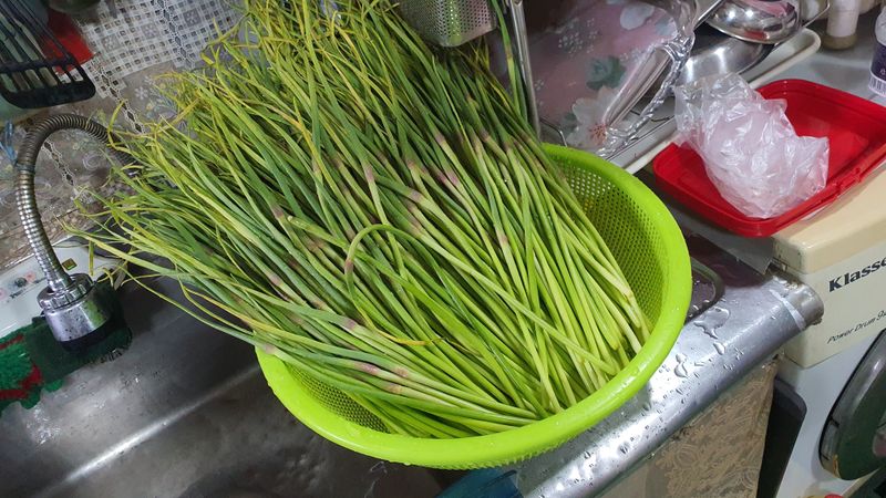 김재량  가을이야.님의 장터 구매 후기 썸네일