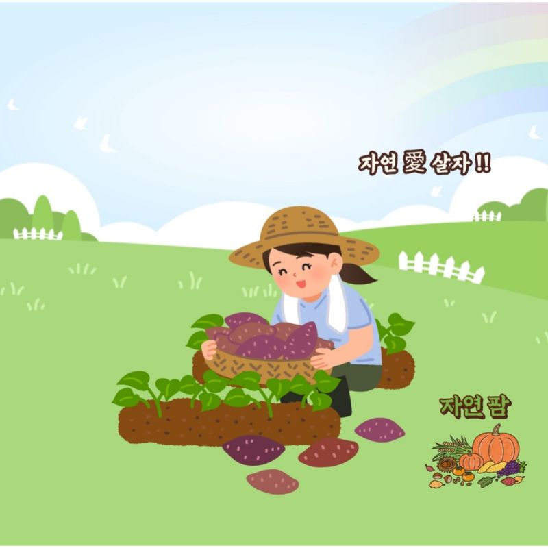 유희재 님의 장터 구매 후기 썸네일