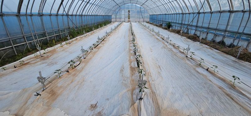 문복만님의 장터 구매 후기 썸네일