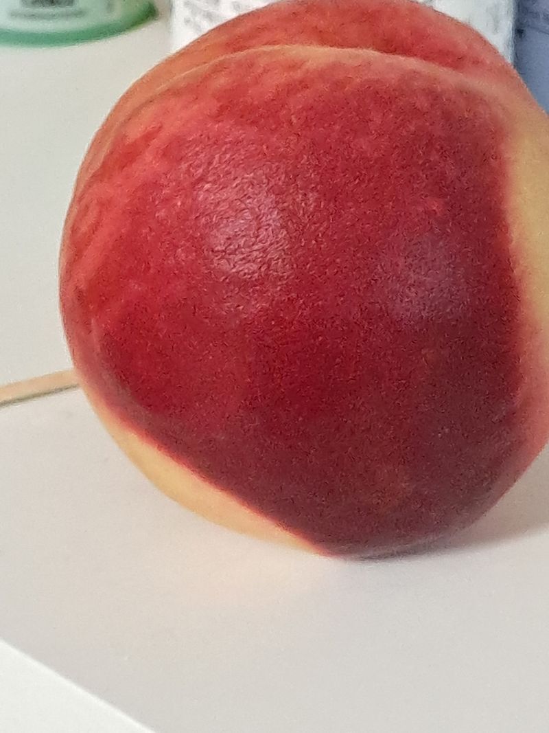 식만동 복합영농님의 장터 구매 후기 썸네일